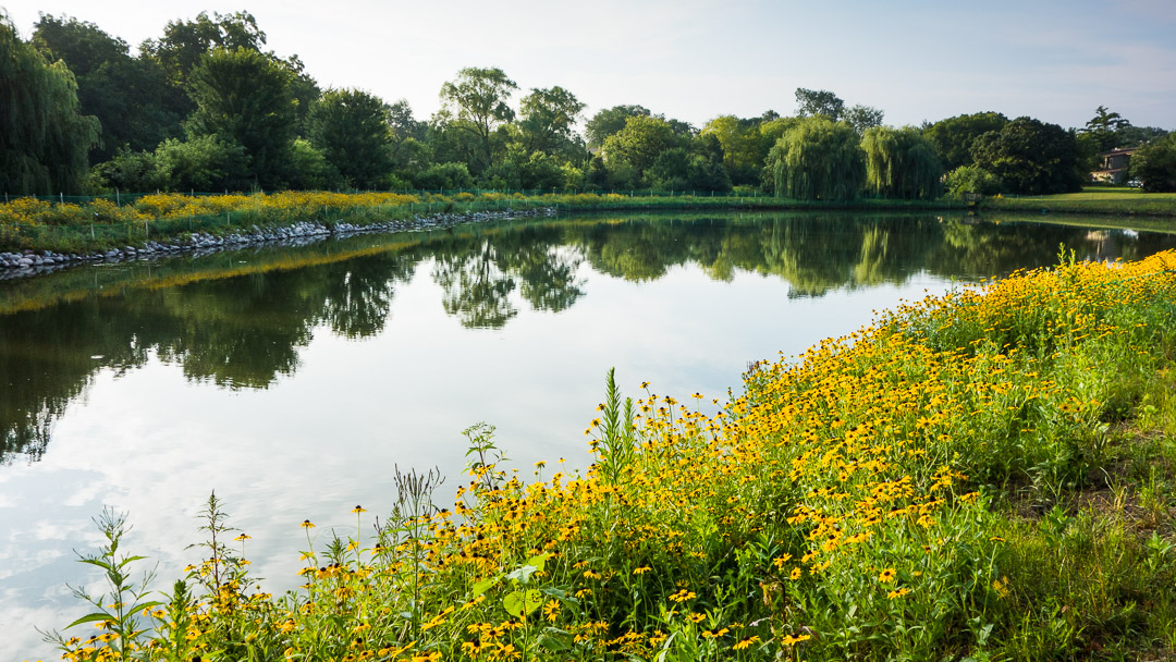 pond-reflection